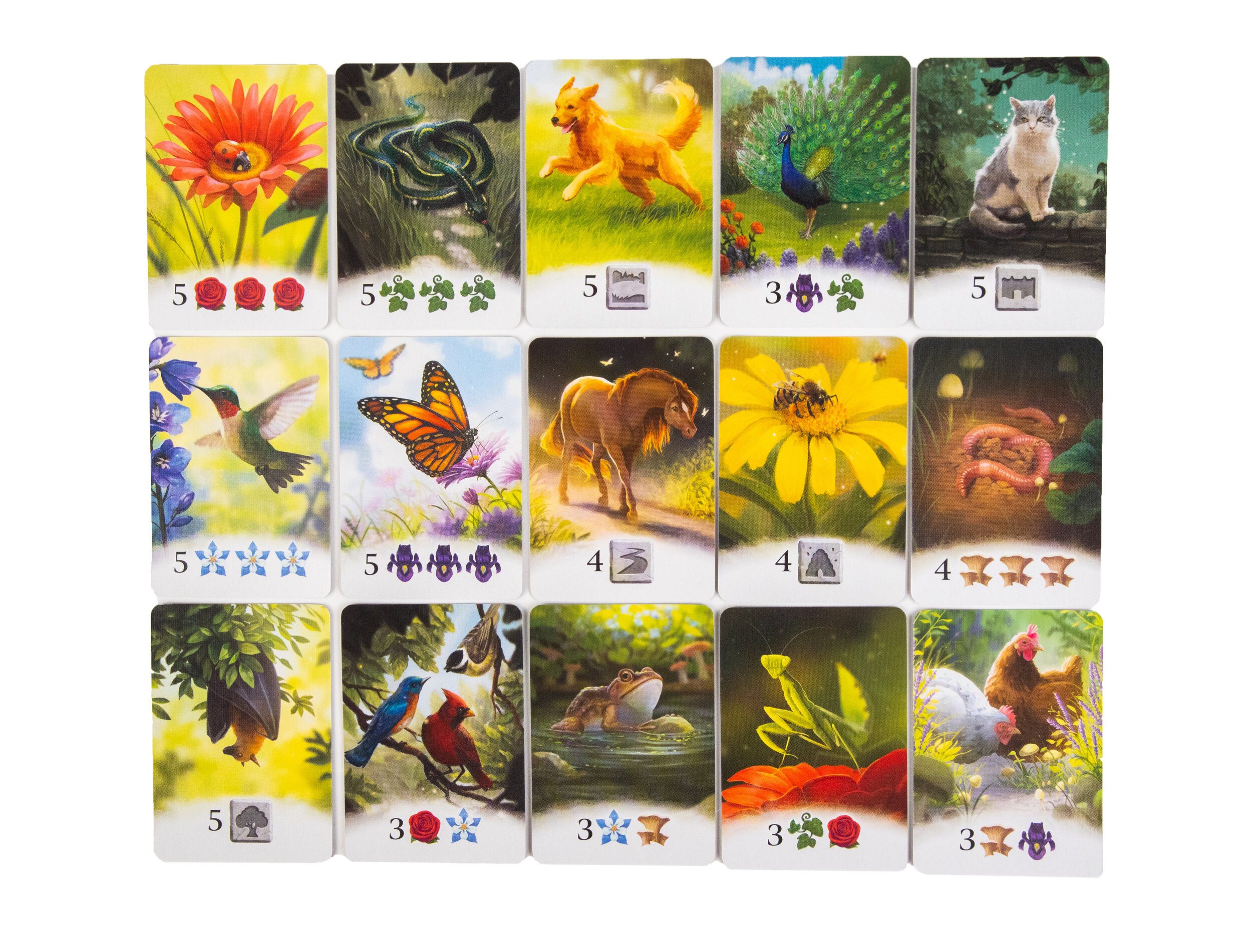 Flourish Signature Edition